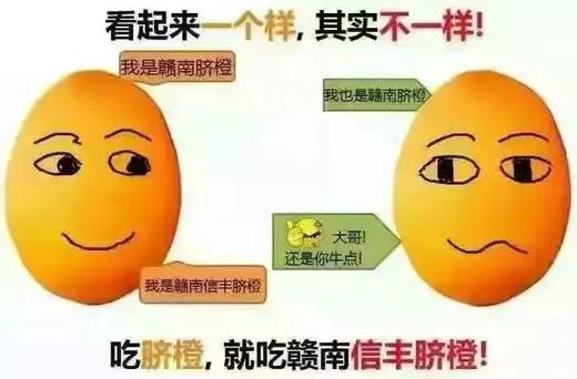 【京东包邮到家】果园直供正宗赣南“信丰脐橙”，假一赔十，不好吃退款！信丰县是“中国脐橙之乡”，信丰县产地的脐橙品质卓越，农夫山泉17.5°橙品牌果源，酸甜可口，Vc含量丰富，不打蜡无公害自然熟透采摘！ 商品图6