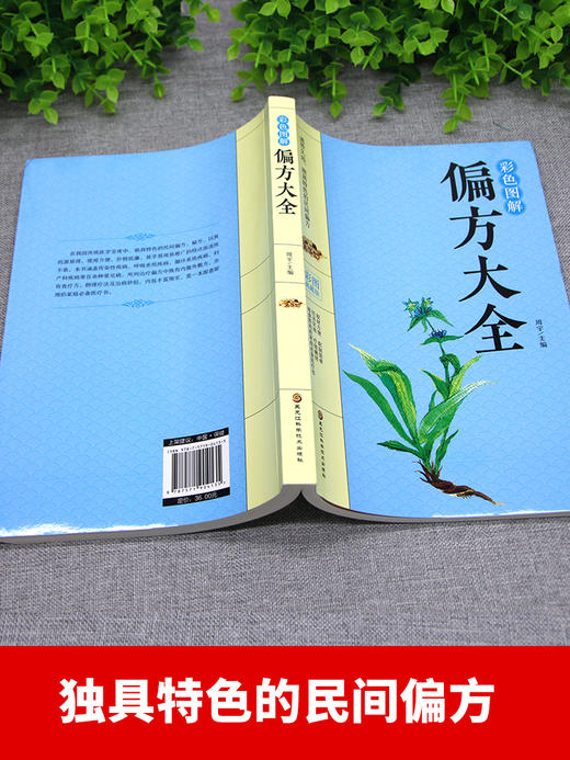 【9.9元包邮】【正版包邮】彩色图解偏方大全 针对医学8大科目症状验方 中药方中医临床诊断中医处方集中医诊断学中医课程速记畅销书籍 商品图2