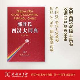 新时代西汉大词典