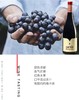 【海马刀】小皮干红葡萄酒-西班牙原瓶原装进口-750mlx2支装 商品缩略图0