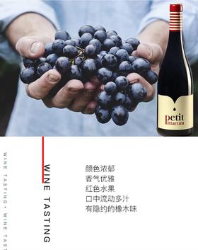 【海马刀】小皮干红葡萄酒-西班牙原瓶原装进口-750mlx2支装