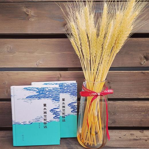星水微茫驼铃远 商品图2