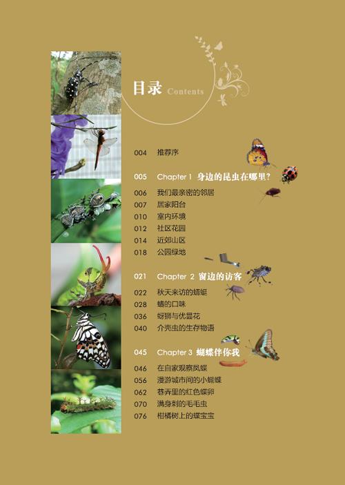 都市昆虫记(自然观察丛书) 商品图1