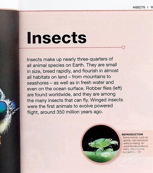【中商原版】DK目击者口袋系列 昆虫	Pocket Eyewitness Insects	DK 英文原版 昆虫百科 商品图8
