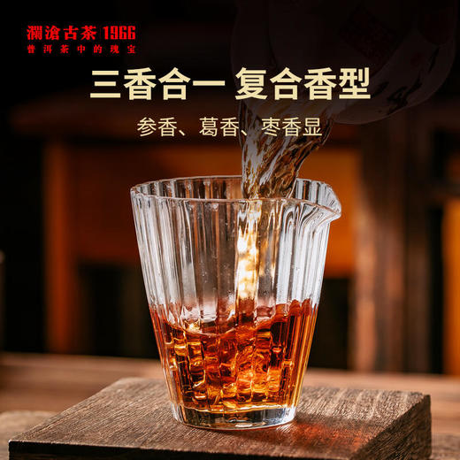 【陈皮滋润礼包】澜沧古茶八年陈皮+18年干仓老熟茶  1980元 商品图6