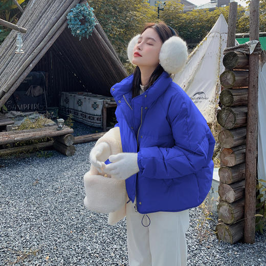 5色可选修身百搭短款，小个子白鸭绒羽绒服外套HR-ZCY2118 商品图3