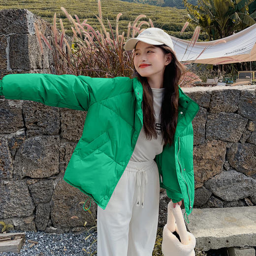 5色可选修身百搭短款，小个子白鸭绒羽绒服外套HR-ZCY2118 商品图2