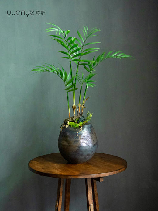 新中式仿真散尾葵叶绿植微景观客厅酒店前台摆设件装饰花仿生青苔 商品图2