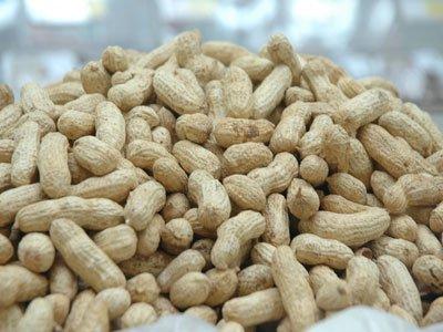 散称带壳熟花生12元/斤，2斤起售 商品图0