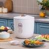 日本山水（SANSUI）智能电饭煲SF-141 电脑款 白色 1.6L 商品缩略图1