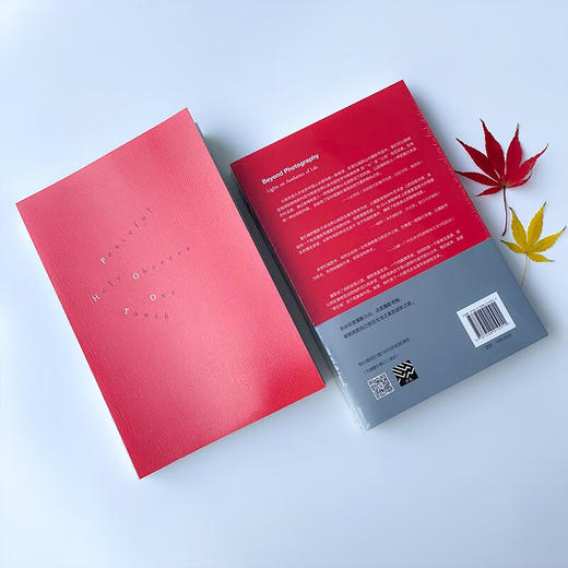 不止摄影课:如何照见生活之美 商品图3