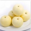 黄金梨 500Gg /份 /份 商品缩略图0