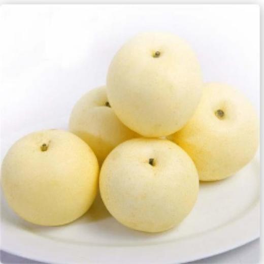 黄金梨 500Gg /份 /份 商品图0