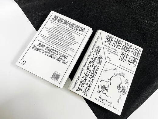 爱因斯坦百科 商品图3