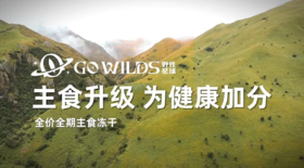 夏进测试定金乐手