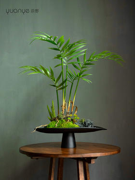 新中式仿真散尾葵叶绿植微景观客厅酒店前台摆设件装饰花仿生青苔