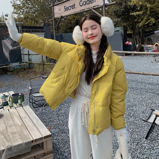 5色可选修身百搭短款，小个子白鸭绒羽绒服外套HR-ZCY2118 商品图5