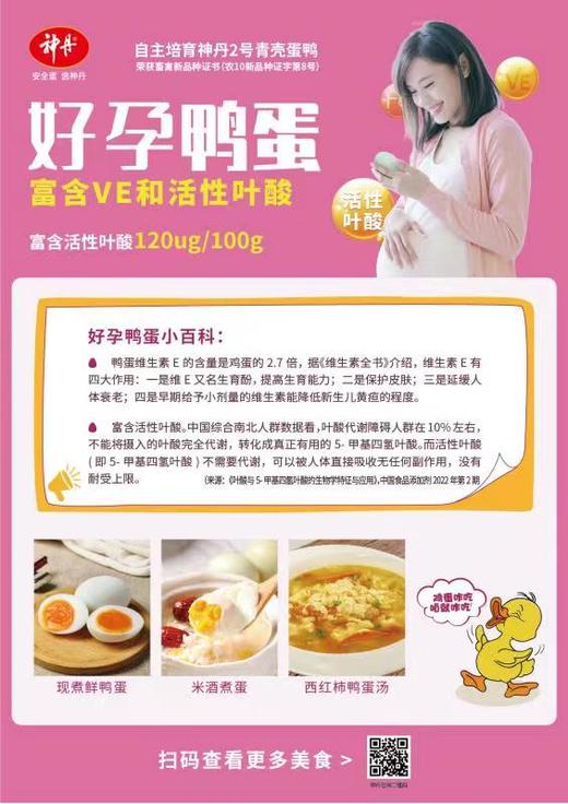 【神丹】好孕鸭蛋12枚装 商品图7