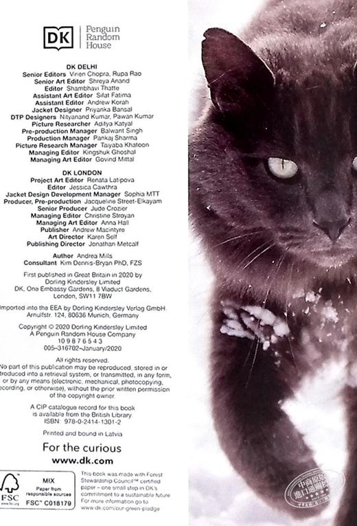 【中商原版】DK目击者口袋系列 猫 Pocket Eyewitness Cats 英文原版 DK百科 动物科普 猫科 商品图4