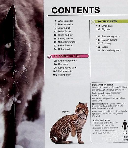 【中商原版】DK目击者口袋系列 猫 Pocket Eyewitness Cats 英文原版 DK百科 动物科普 猫科 商品图5