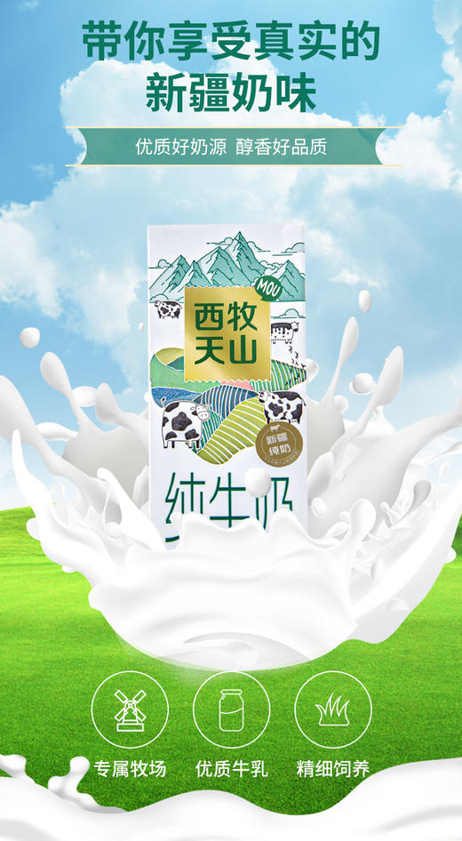 西牧天山新疆纯牛奶3.6蛋白牛奶12砖 商品图1