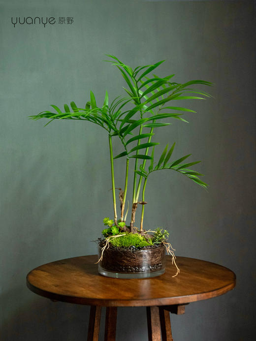 新中式仿真散尾葵叶绿植微景观客厅酒店前台摆设件装饰花仿生青苔 商品图3