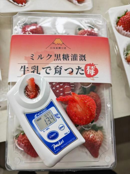 丹东红颜草莓（11-15粒，约300克） 商品图1