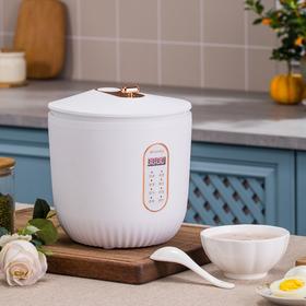 日本山水（SANSUI）智能电饭煲SF-141 电脑款 白色 1.6L