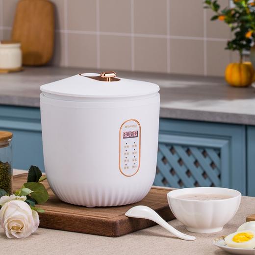 日本山水（SANSUI）智能电饭煲SF-141 电脑款 白色 1.6L 商品图0