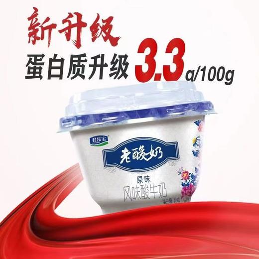 君乐宝原味老酸奶买三赠一 商品图0