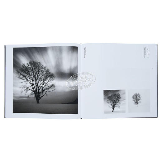 【中商原版】Michael Kenna: Forms of Japan 进口艺术 Michael Kenna：日本的形式 商品图5