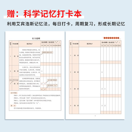 小学语文句子训练（全3册）优美句子+修辞手法+打卡计划 商品图6