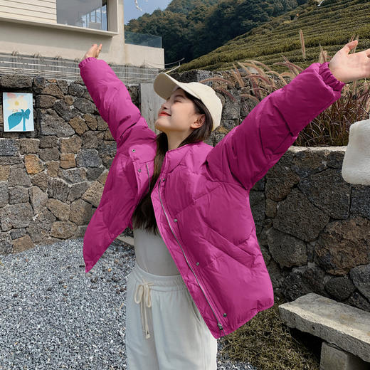 5色可选修身百搭短款，小个子白鸭绒羽绒服外套HR-ZCY2118 商品图7