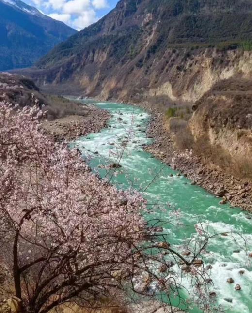 【西藏·林芝 | 花花世界】藏地江南，陌上花开9天8晚赏花之旅 商品图2