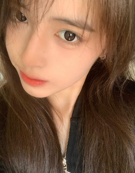 日抛 Holydeer H-01 BLACK 14.2 自然黑 商品图3