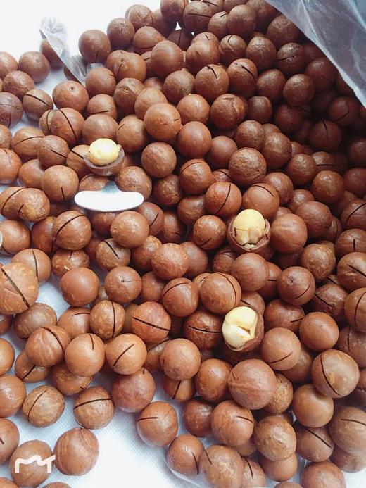 散称夏威夷果32元/斤 商品图0