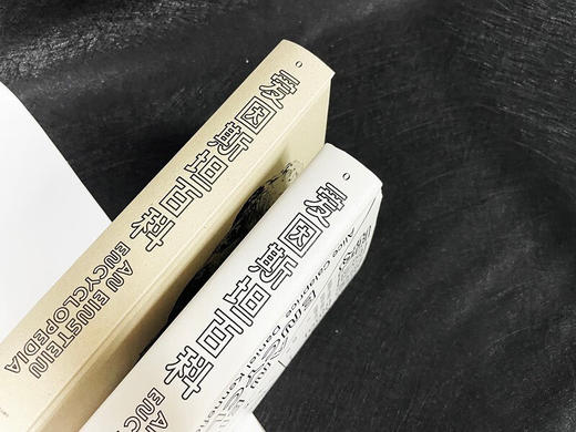 爱因斯坦百科 商品图4