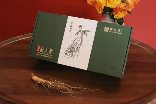 森小子 长白山5年新鲜园参 商品图1