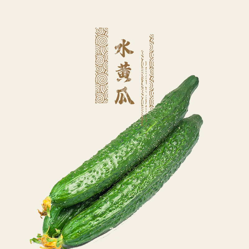 【预定】水黄瓜500g@张家口酵素农场