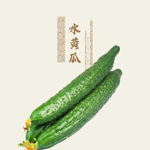 【预定】水黄瓜500g@张家口酵素农场 商品图0