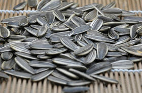 散称原味熟葵花子13.9元/斤，2斤起售