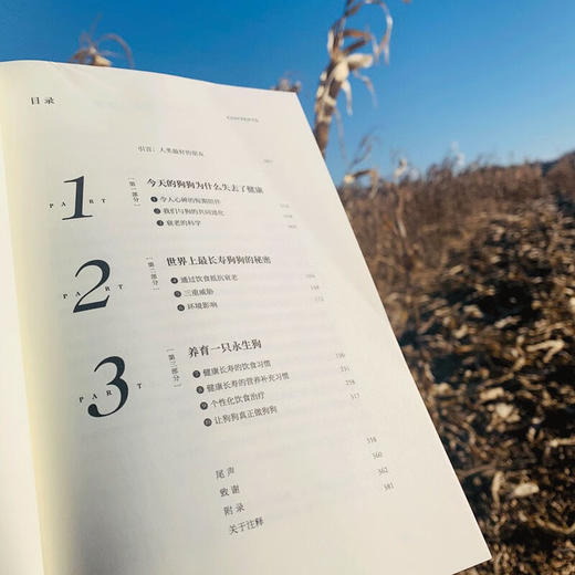 永远的爱犬 罗德尼·哈比卜等 著 科普 商品图2