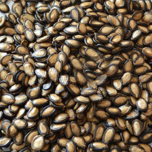 散称大板瓜子16.8元/斤，2斤起售 商品图0