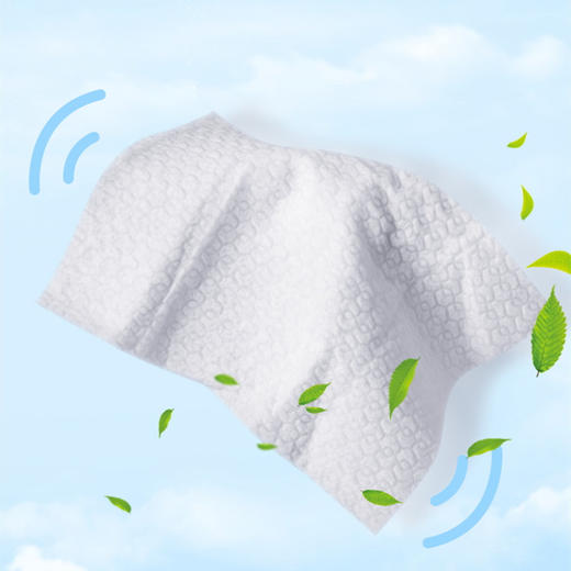 日本LEC激落君1秒速溶&可冲水马桶除菌湿巾消毒清洁家居卫生间便携擦拭湿纸巾 商品图2