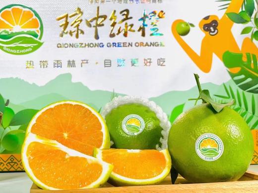 琼中绿橙（政府包装，一级，净果约10斤） 商品图2