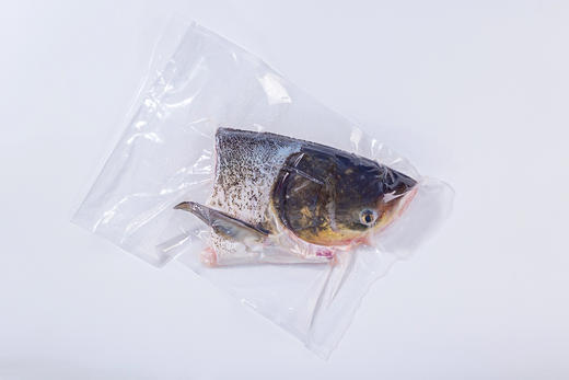 南都湖有机鱼头2.5-3斤/袋*2袋 商品图1