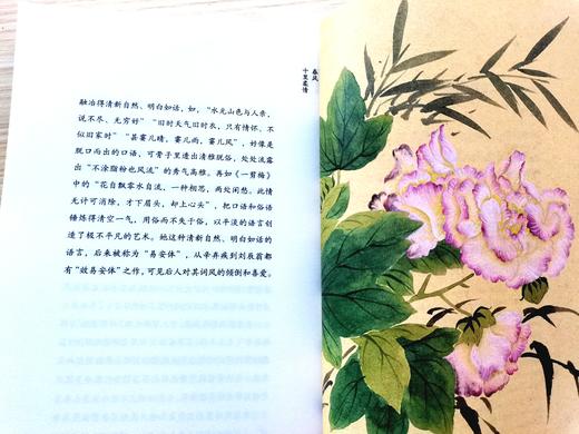 【许渊冲译】《惊艳千年的挚美之诗》（套装3册）| 百岁翻译家的挚爱人间，古代文人的情思与故事。 商品图4