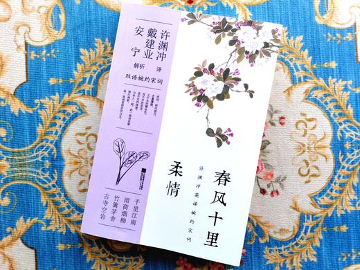 【许渊冲译】《惊艳千年的挚美之诗》（套装3册）| 百岁翻译家的挚爱人间，古代文人的情思与故事。 商品图3