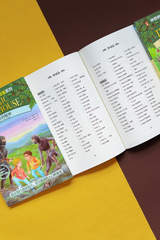 《神奇树屋》中英双语版1-32级 商品图6