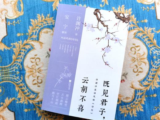 【许渊冲译】《惊艳千年的挚美之诗》（套装3册）| 百岁翻译家的挚爱人间，古代文人的情思与故事。 商品图2